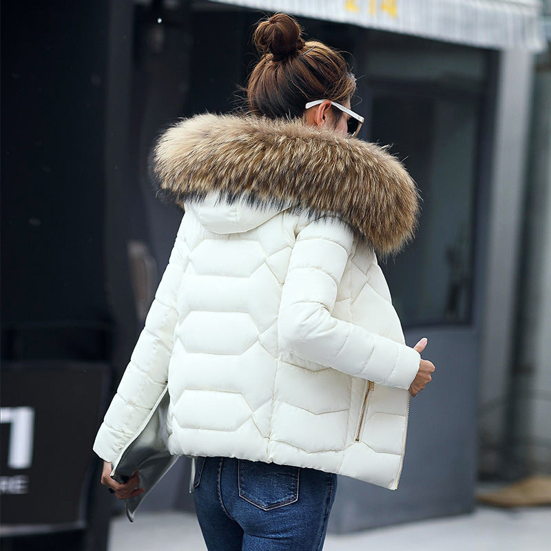 Short Slim Fit Women's Clothing Large Fur Collar Down Jacket