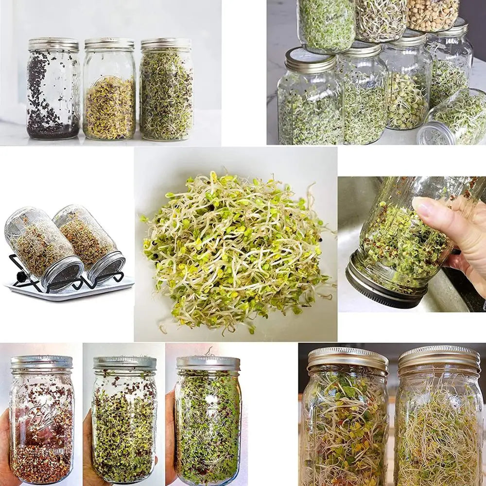 1Set Seed Sprouter Germination Cover Kit Sprouting Mason Jars with Stainless Steel Strainer Lids Stainless Steel Germinator Stan