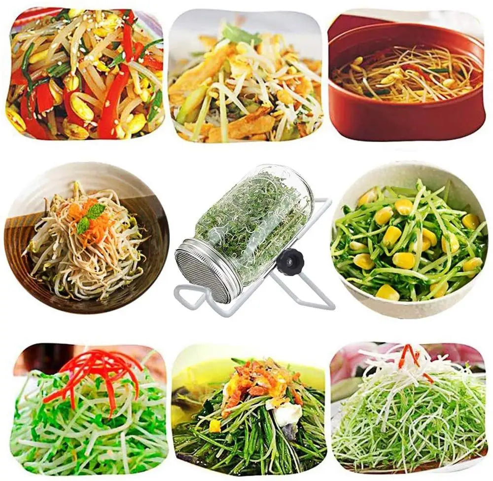 1Set Seed Sprouter Germination Cover Kit Sprouting Mason Jars with Stainless Steel Strainer Lids Stainless Steel Germinator Stan