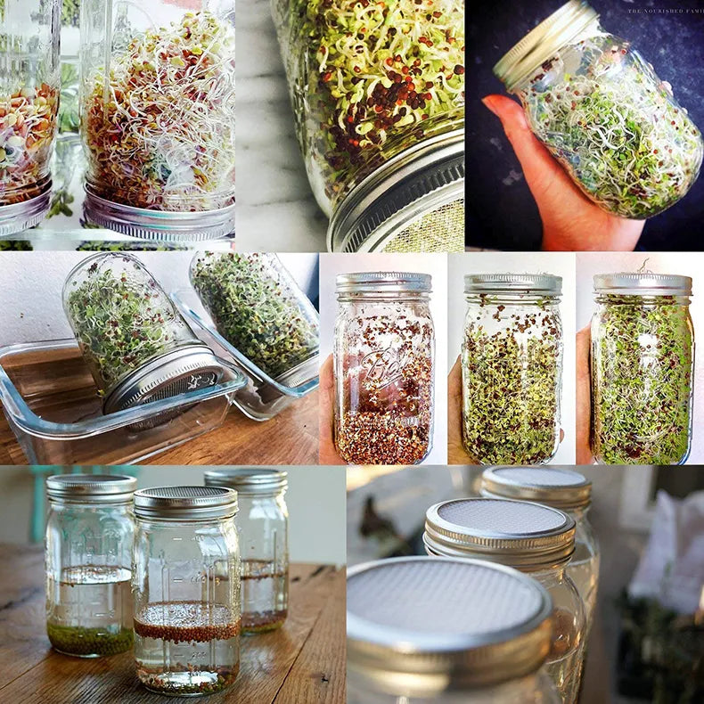 1Set Seed Sprouter Germination Cover Kit Sprouting Mason Jars with Stainless Steel Strainer Lids Stainless Steel Germinator Stan
